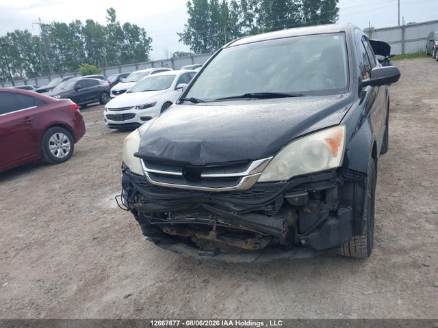 2011 Honda Cr-v Lx მანქანა იყიდება აუქციონზე, vin: 5J6RE4H34BL817465, აუქციონის ნომერი: 12667677