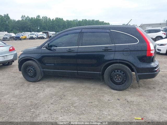 2011 Honda Cr-v Lx მანქანა იყიდება აუქციონზე, vin: 5J6RE4H34BL817465, აუქციონის ნომერი: 12667677