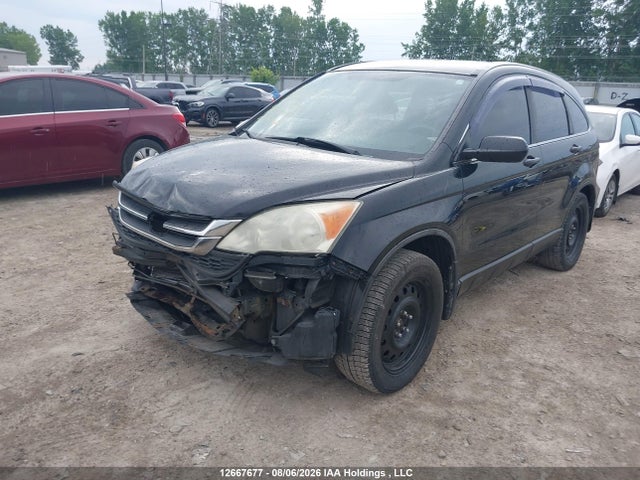 2011 Honda Cr-v Lx მანქანა იყიდება აუქციონზე, vin: 5J6RE4H34BL817465, აუქციონის ნომერი: 12667677
