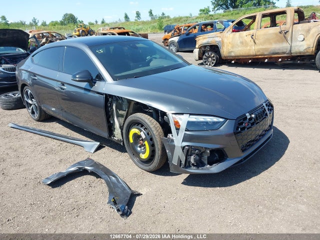 Продажа на аукционе авто 2024 Audi S5 3.0t Progressiv, vin: WAUA4CF5XRA126898, номер лота: 12667704