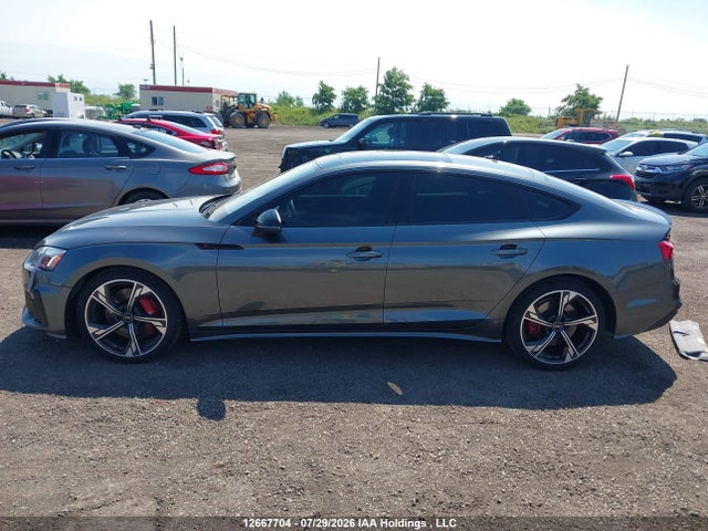 Продажа на аукционе авто 2024 Audi S5 3.0t Progressiv, vin: WAUA4CF5XRA126898, номер лота: 12667704