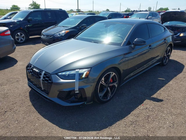 Продажа на аукционе авто 2024 Audi S5 3.0t Progressiv, vin: WAUA4CF5XRA126898, номер лота: 12667704