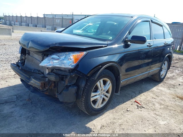 Продажа на аукционе авто 2011 Honda Cr-v Ex, vin: 5J6RE3H50BL800576, номер лота: 12667711
