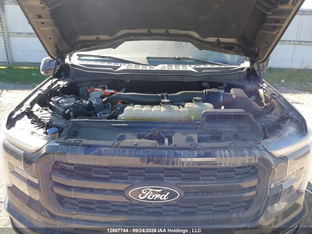 1FTFW5LD5RFB97228 Ford F-150