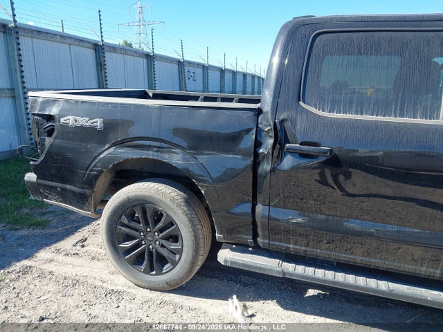 1FTFW5LD5RFB97228 Ford F-150