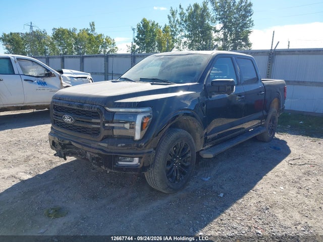 1FTFW5LD5RFB97228 Ford F-150