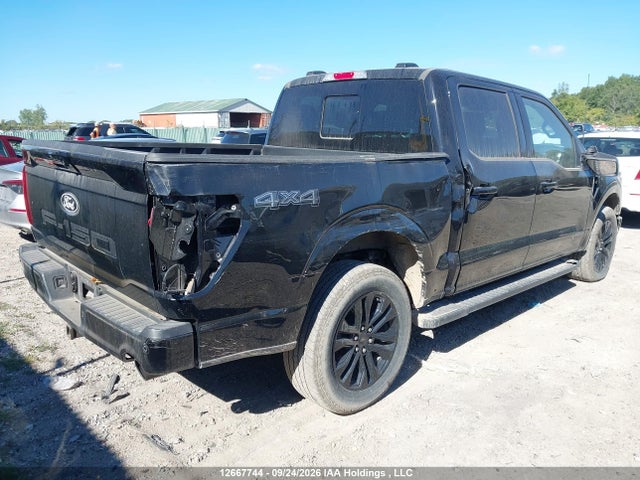 1FTFW5LD5RFB97228 Ford F-150