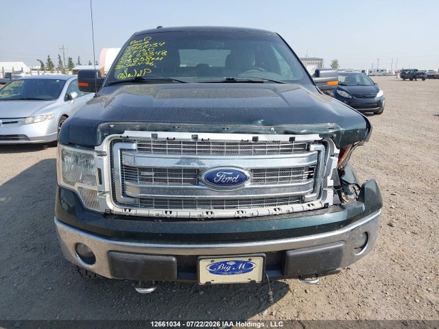 Ford F-150 Xlt 2014 1FTFW1EF5EKF83348 Image 13
