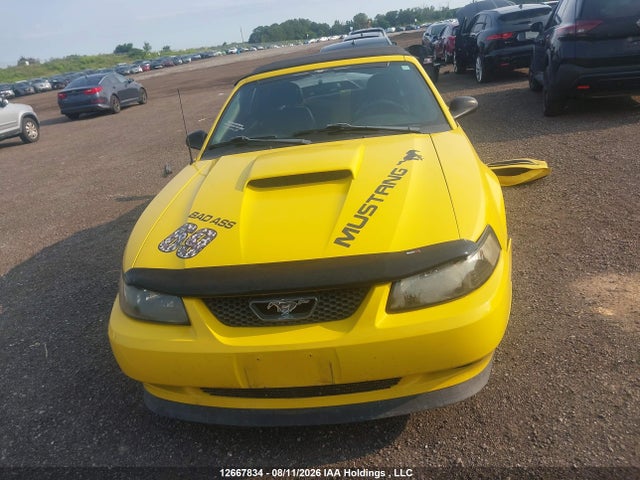 2004 Ford Mustang Gt მანქანა იყიდება აუქციონზე, vin: 1FAFP45XX4F237588, აუქციონის ნომერი: 12667834
