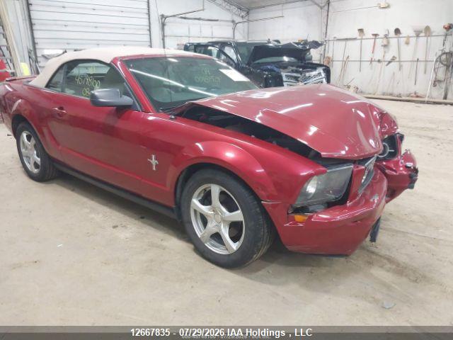 12667835 :رقم المزاد ، 1ZVHT84N185123459 vin ، 2008 Ford Mustang مزاد بيع