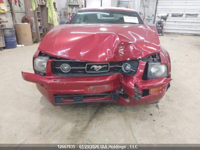 12667835 :رقم المزاد ، 1ZVHT84N185123459 vin ، 2008 Ford Mustang مزاد بيع