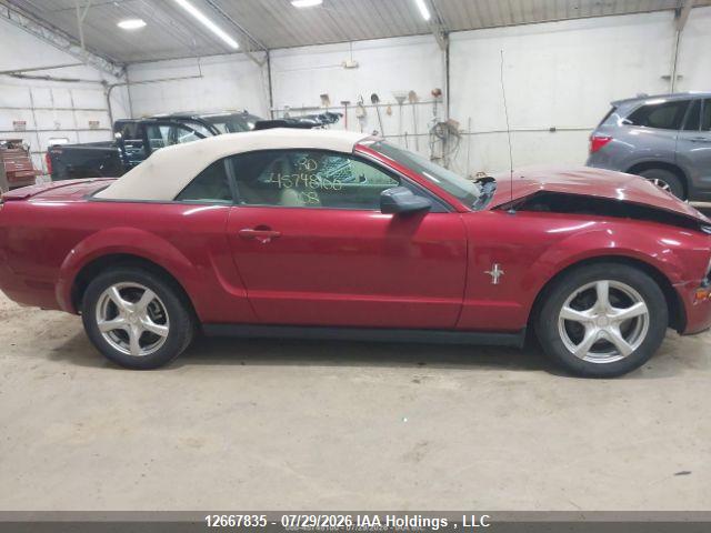 12667835 :رقم المزاد ، 1ZVHT84N185123459 vin ، 2008 Ford Mustang مزاد بيع