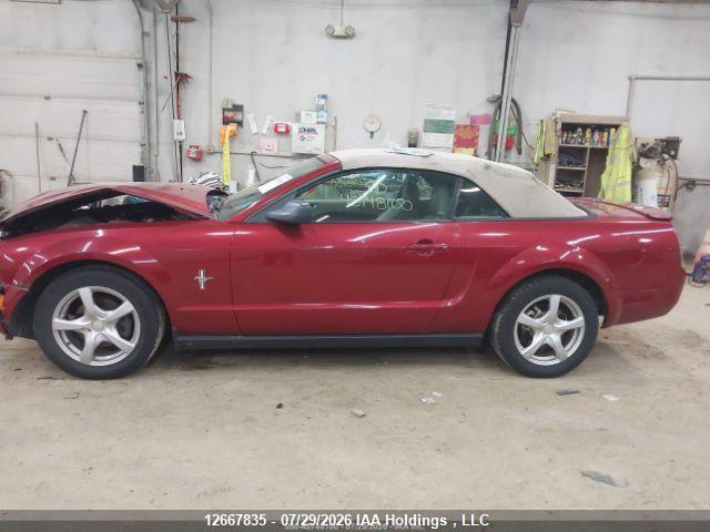 12667835 :رقم المزاد ، 1ZVHT84N185123459 vin ، 2008 Ford Mustang مزاد بيع