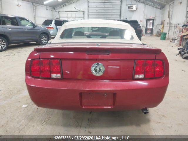 12667835 :رقم المزاد ، 1ZVHT84N185123459 vin ، 2008 Ford Mustang مزاد بيع