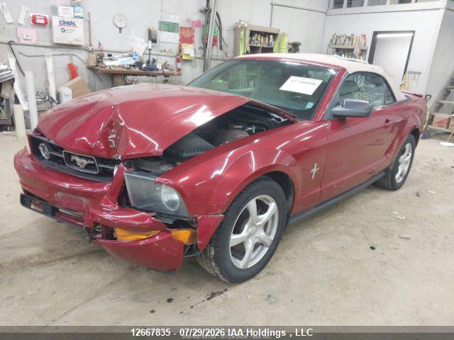 12667835 :رقم المزاد ، 1ZVHT84N185123459 vin ، 2008 Ford Mustang مزاد بيع