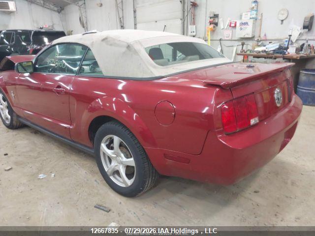 12667835 :رقم المزاد ، 1ZVHT84N185123459 vin ، 2008 Ford Mustang مزاد بيع