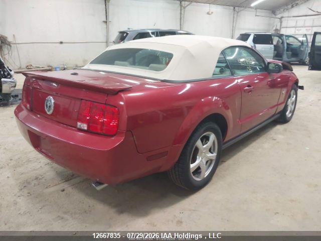 12667835 :رقم المزاد ، 1ZVHT84N185123459 vin ، 2008 Ford Mustang مزاد بيع