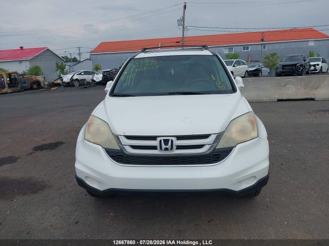 Продаж на аукціоні авто 2010 Honda Cr-v Ex, vin: 5J6RE4H5XAL801321, номер лоту: 12667860