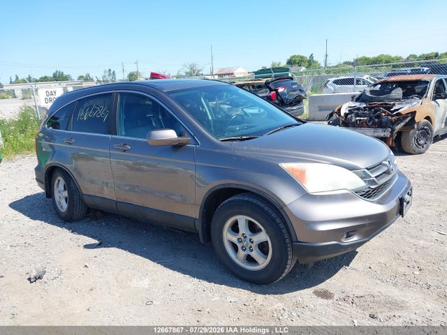 12667867 :رقم المزاد ، 5J6RE4H7XAL805158 vin ، 2010 Honda Cr-v Exl مزاد بيع