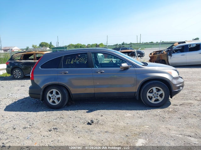 Продажа на аукционе авто 2010 Honda Cr-v Exl, vin: 5J6RE4H7XAL805158, номер лота: 12667867