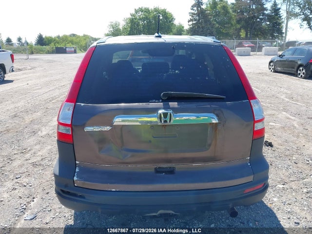 Продажа на аукционе авто 2010 Honda Cr-v Exl, vin: 5J6RE4H7XAL805158, номер лота: 12667867