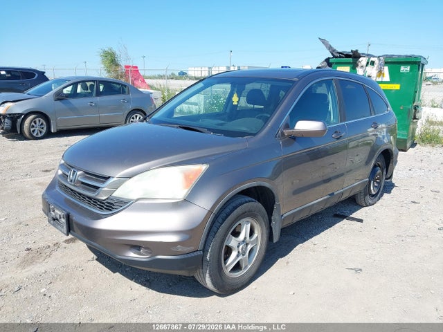 Продажа на аукционе авто 2010 Honda Cr-v Exl, vin: 5J6RE4H7XAL805158, номер лота: 12667867