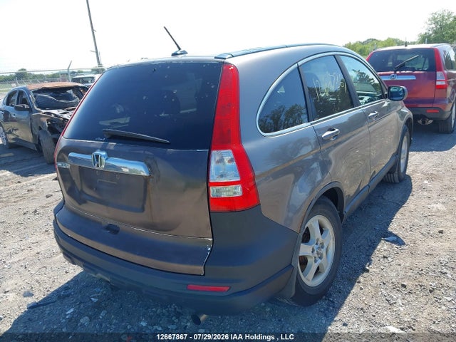 Продажа на аукционе авто 2010 Honda Cr-v Exl, vin: 5J6RE4H7XAL805158, номер лота: 12667867