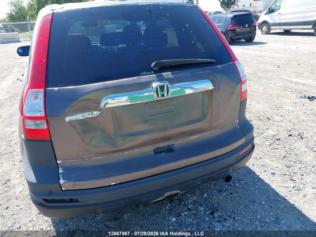 Продажа на аукционе авто 2010 Honda Cr-v Exl, vin: 5J6RE4H7XAL805158, номер лота: 12667867