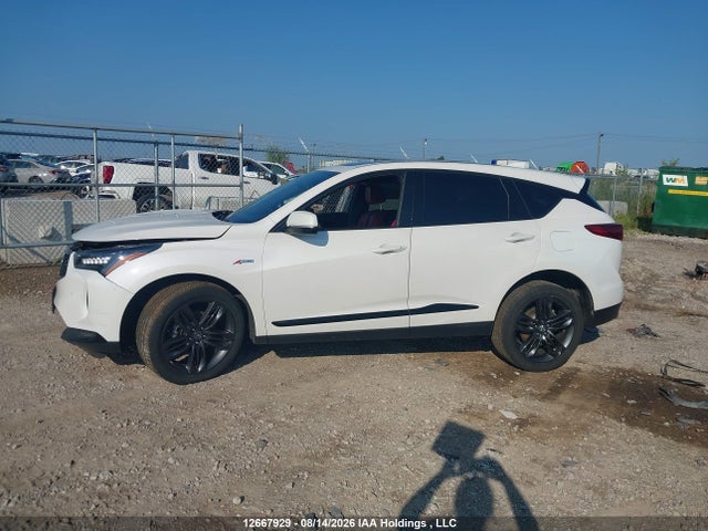 Acura RDX 2024 5J8TC2H69RL800463 Image 15