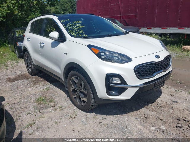 Продажа на аукционе авто 2020 Kia Sportage Ex, vin: KNDPNCAC4L7793745, номер лота: 12667945