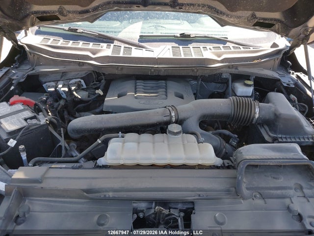 1FTFW1E89PKF77704 Ford F-150 Xlt