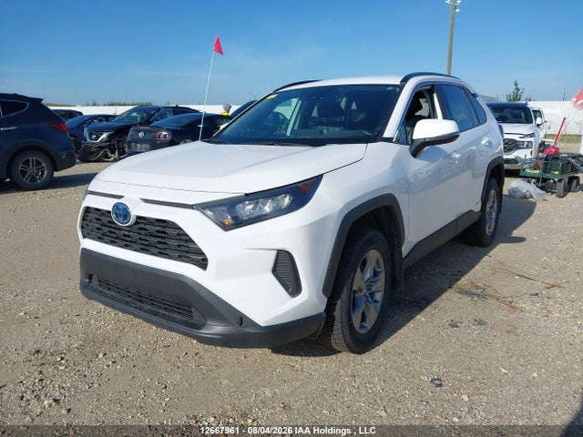 Продаж на аукціоні авто 2024 Toyota Rav4 Hybrid Le, vin: 2T3BWRFV7RW236930, номер лоту: 12667961