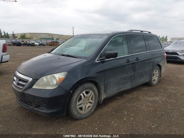 Продаж на аукціоні авто 2007 Honda Odyssey Ex-l, vin: 5FNRL38647B502711, номер лоту: 12667962