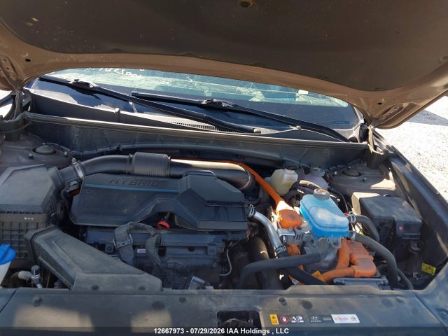 2025 Hyundai Tucson Ultimate Plug-in Hybrid Awd მანქანა იყიდება აუქციონზე, vin: KM8JDDD23SU323588, აუქციონის ნომერი: 12667973