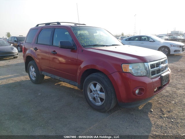 Auction sale of the 2011 Ford Escape Xlt Automatic, vin: 1FMCU9DG5BKA69895, lot number: 12667980