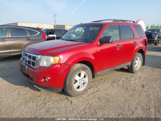 Aukcja sprzedaży 2011 Ford Escape Xlt Automatic, vin: 1FMCU9DG5BKA69895, numer aukcji: 12667980