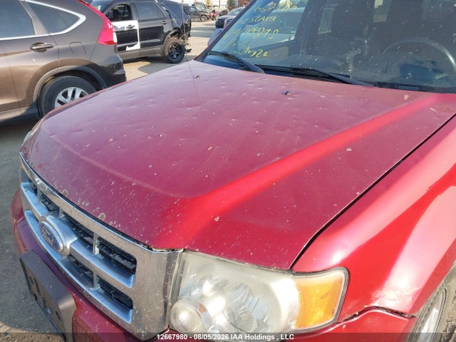 12667980 :رقم المزاد ، 1FMCU9DG5BKA69895 vin ، 2011 Ford Escape Xlt Automatic مزاد بيع