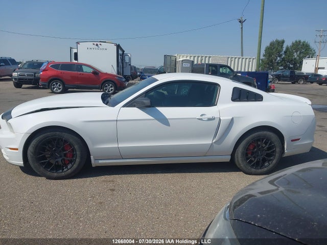 Продаж на аукціоні авто 2014 Ford Mustang V6, vin: 1ZVBP8AM7E5220716, номер лоту: 12668004