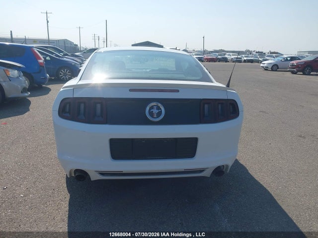 2014 Ford Mustang V6 მანქანა იყიდება აუქციონზე, vin: 1ZVBP8AM7E5220716, აუქციონის ნომერი: 12668004