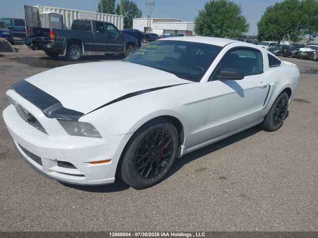 12668004 :رقم المزاد ، 1ZVBP8AM7E5220716 vin ، 2014 Ford Mustang V6 مزاد بيع