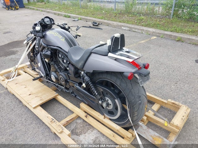 Harley-Davidson Vrscdx Night Rod Special 2016 5HD1HHHAXGC804315 Image 3
