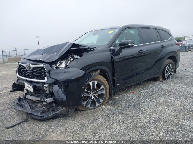 Продаж на аукціоні авто 2025 Toyota Highlander Hybrid Xle, vin: 5TDKBRCH3SS655620, номер лоту: 12668022