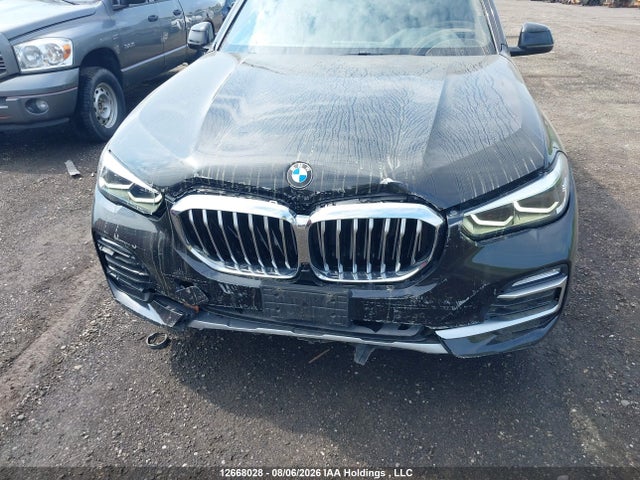 Продаж на аукціоні авто 2019 Bmw X5 Xdrive40i, vin: 5UXCR6C5XKLL40401, номер лоту: 12668028