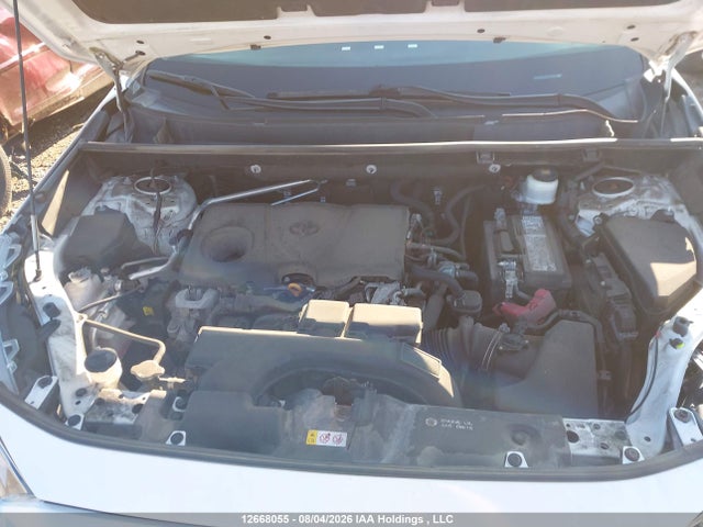 Aukcja sprzedaży 2020 Toyota Rav4 Xle, vin: 2T3R1RFV1LC138949, numer aukcji: 12668055