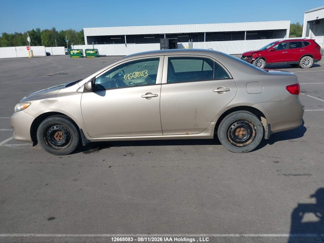 2010 Toyota Corolla Ce მანქანა იყიდება აუქციონზე, vin: 2T1BU4EE2AC215380, აუქციონის ნომერი: 12668083