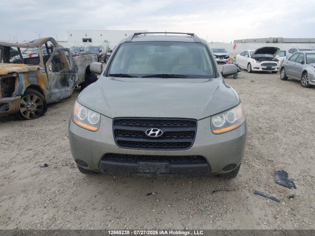 Продаж на аукціоні авто 2009 Hyundai Santa Fe Gl, vin: 5NMSG13D79H273670, номер лоту: 12665238