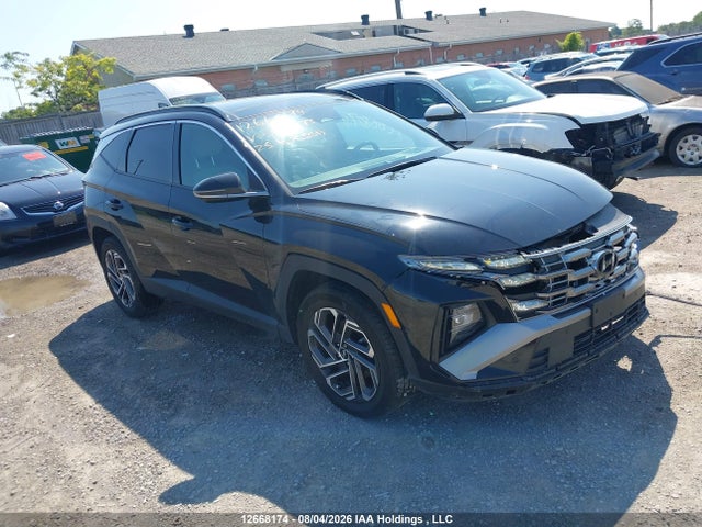 Hyundai Tucson Sel Convenience 2025 KM8JCDD11SU305973 главное изображение