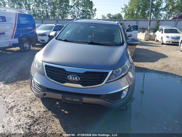 Продаж на аукціоні авто 2013 Kia Sportage, vin: KNDPC3A2XD7408168, номер лоту: 12668180