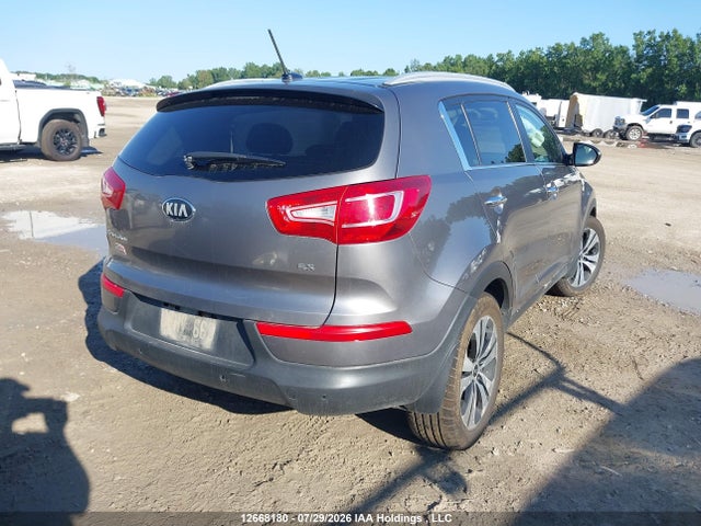 Продаж на аукціоні авто 2013 Kia Sportage, vin: KNDPC3A2XD7408168, номер лоту: 12668180