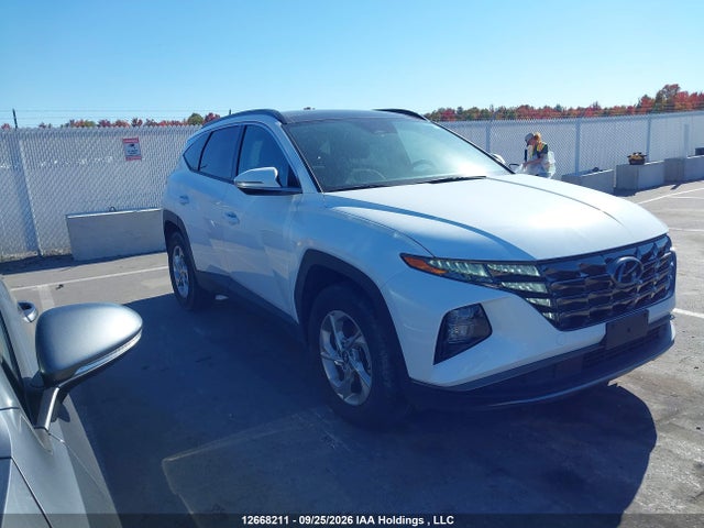2024 KM8JCCDE1RU333179 главное изображение
